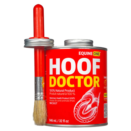 Equine One Hoof Doctor