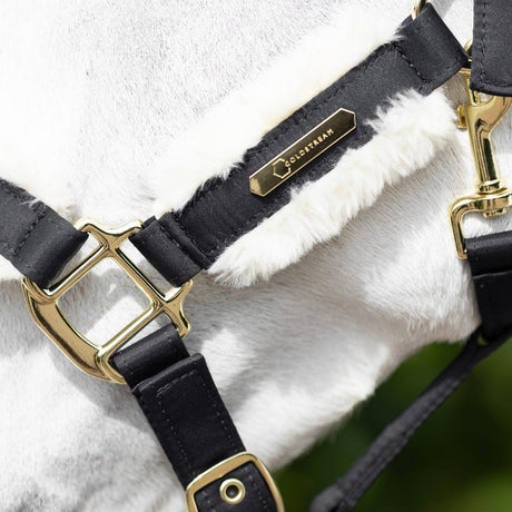 Coldstream Langlee Luxury Head Collar & Lead Rope #colour_navy