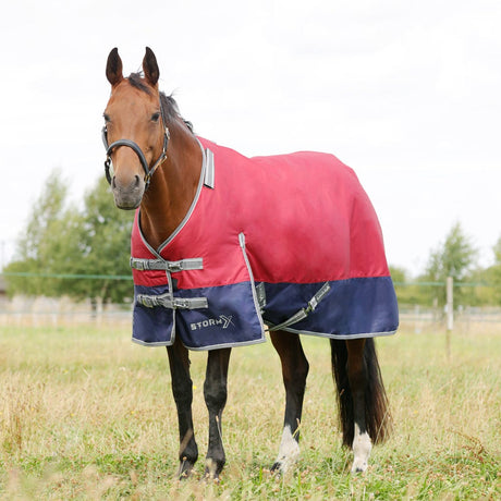 StormX Empra 200g Turnout Rug with Detachable Neck #colour_burgundy