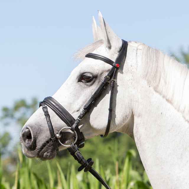 Kieffer Ultrasoft Economy Snaffle Bridle