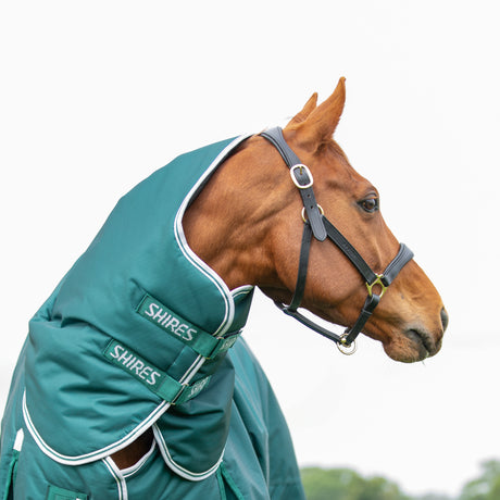 Shires Highlander Original 300g Turnout Neck Cover #colour_green