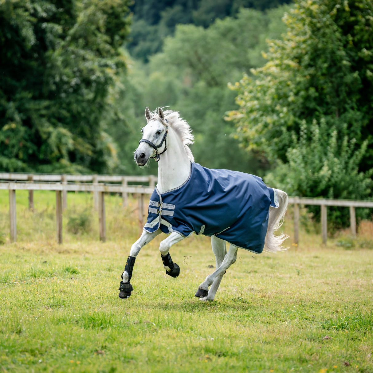 Horseware Ireland Amigo Bravo 12 Original 250g Medium Turnout Rug #colour_navy-titanium-grey-silver