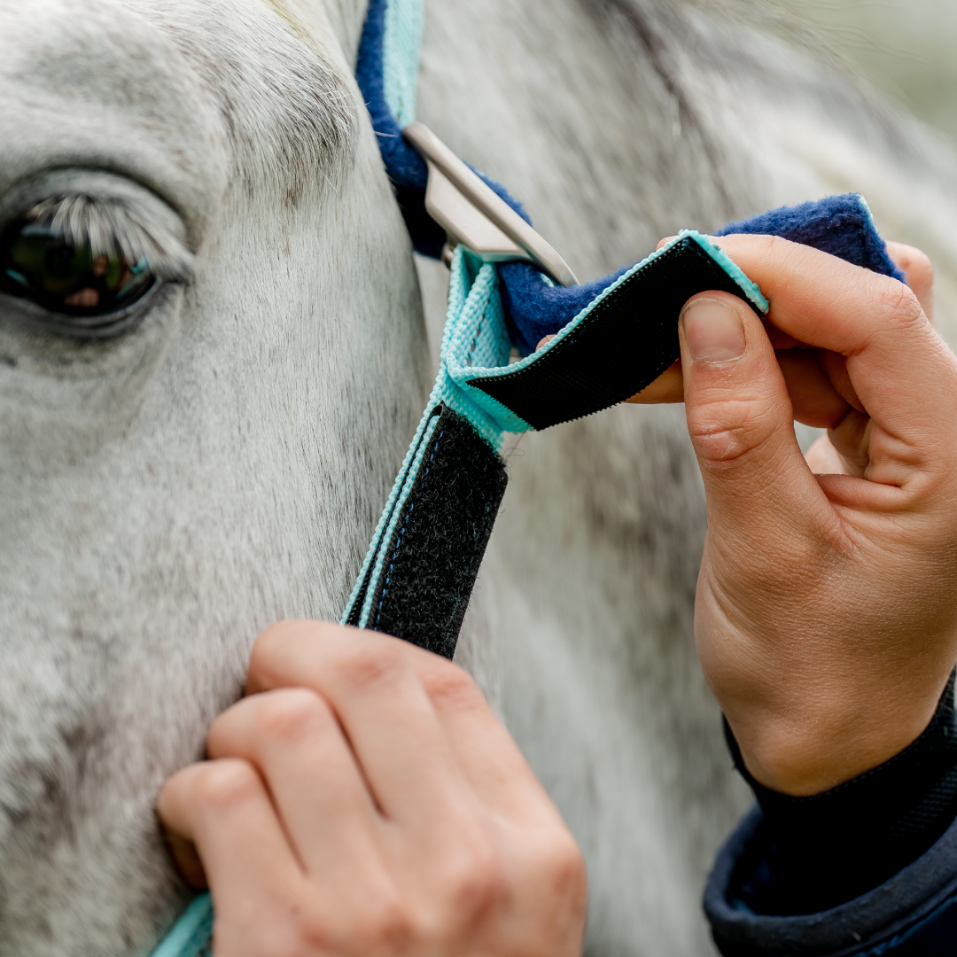 Horseware Ireland Field Safe Headcollar