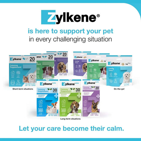 Zylkene Behavioural Support 20 caps