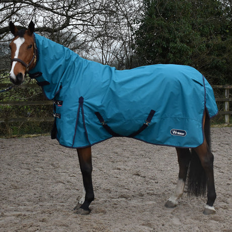 Whitaker Rastrick 0g Fixed Neck Turnout Rug #colour_turqoise