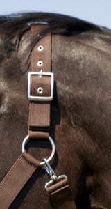 Norton Draught Horse Head Collar #colour_brown