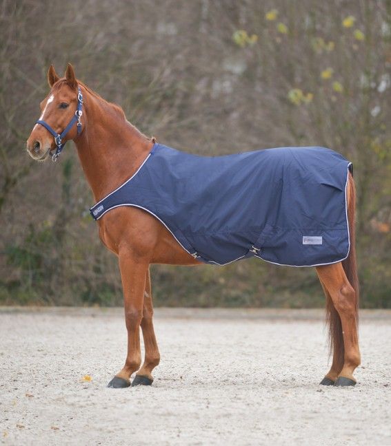 Waldhausen Comfort Horse Walker Rug #colour_night-blue