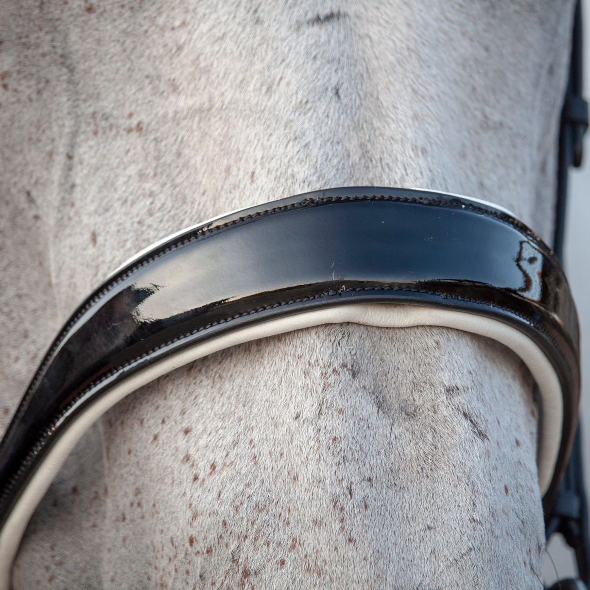 Henry James Patent Dressage Bridle With White Padding