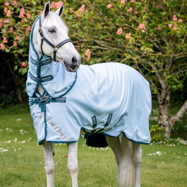 Horseware Ireland Amigo Plant Dye Turnout Rug #colour_blue-navy