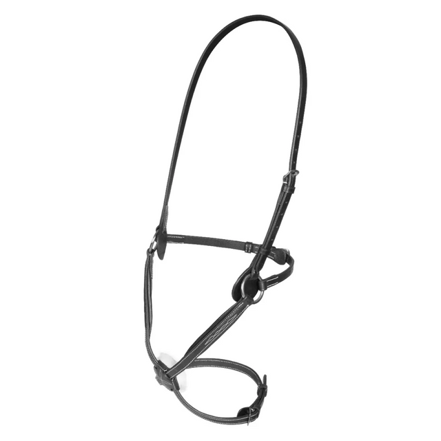 Shires Salisbury Brackley Mexican Grackle Noseband