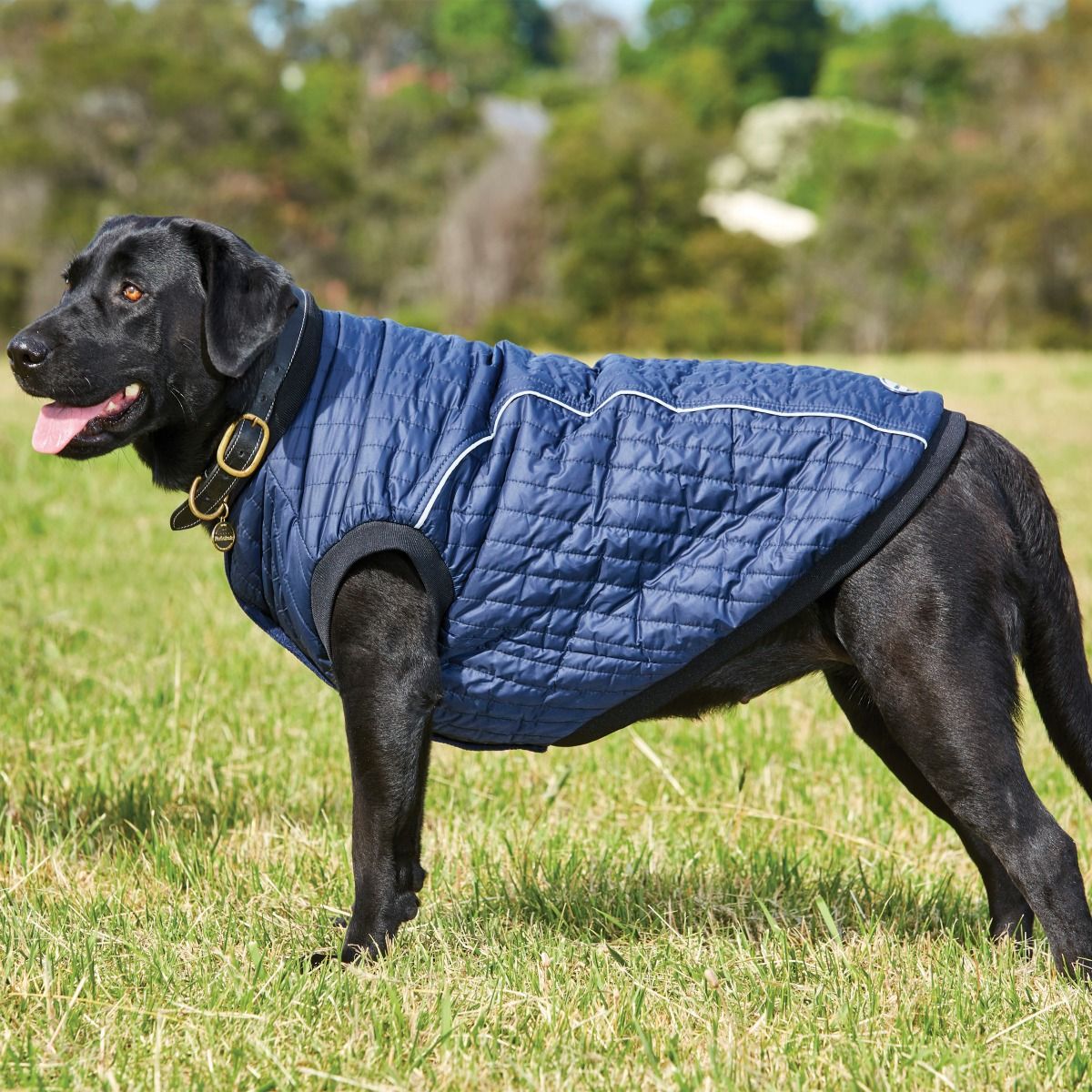 Weatherbeeta Puffer Dog Coat #colour_navy