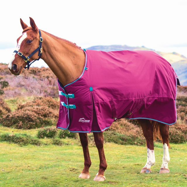 Shires Highlander Original 300g Turnout Rug #colour_raspberry