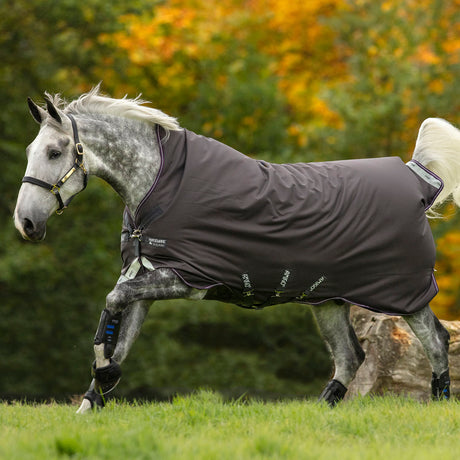 Horseware Ireland Amigo Bravo 12 Wug 250g Medium Turnout Rug #colour_excalibur-purple