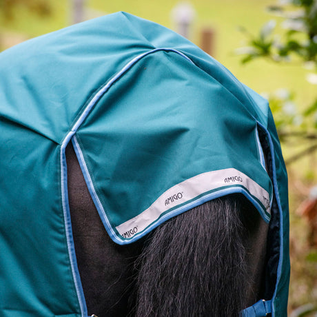 Horseware Ireland Amigo Bravo 12 Wug 250g Medium Turnout Rug #colour_storm-green-turquoise-aqua