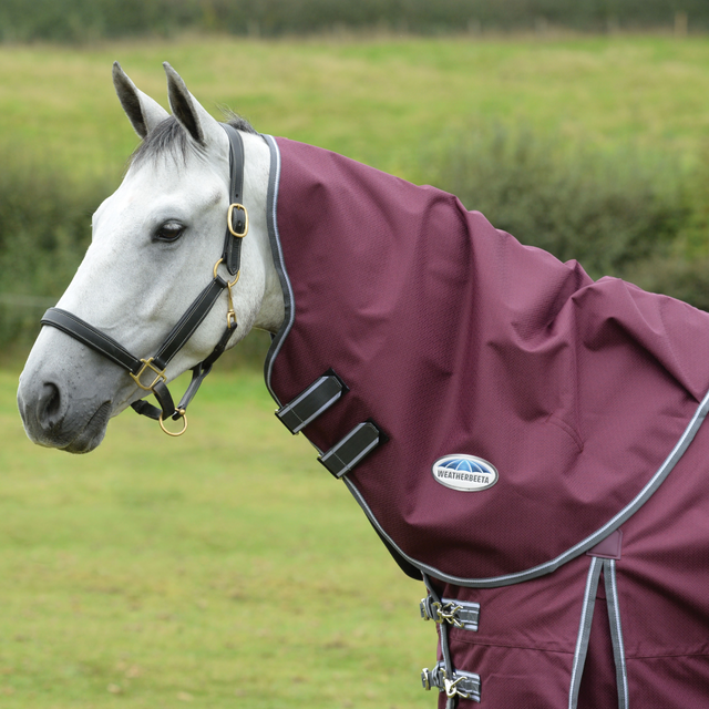 Weatherbeeta Comfitec Plus Dynamic II Neck Rug Medium #colour_maroon-grey-white