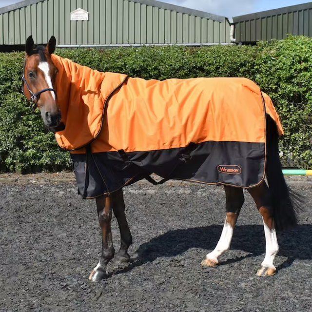 Whitaker Lutton 170g Turnout Rug Combo #colour_orange