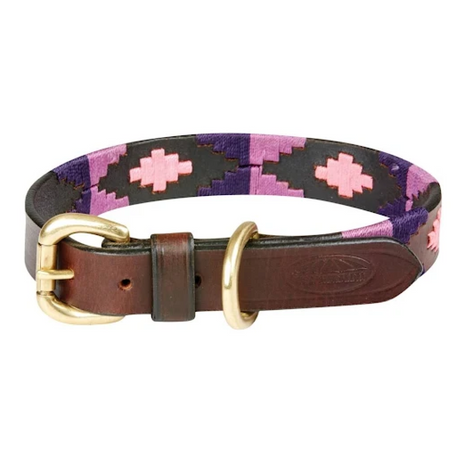 Weatherbeeta Polo Leather Dog Collar #colour_cowdray-brown-purple-purple